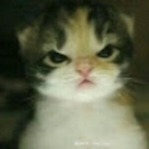 Meet your Posher, Lo